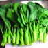 Chinese Broccoli Gai Lan Seeds for Planting (Hạt Gai Lan)