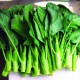 Chinese Kale seeds - Chinese Broccoli - Gai Lan
