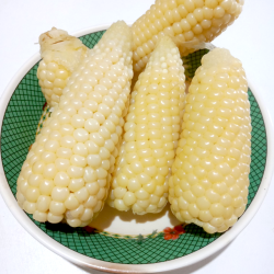 Waxy Corn Seeds for Planting (Hạt Bắp Nếp)