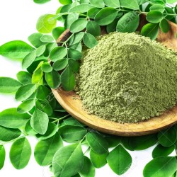 Moringa Oleifera Seeds for Planting (Hạt Chùm Ngây)