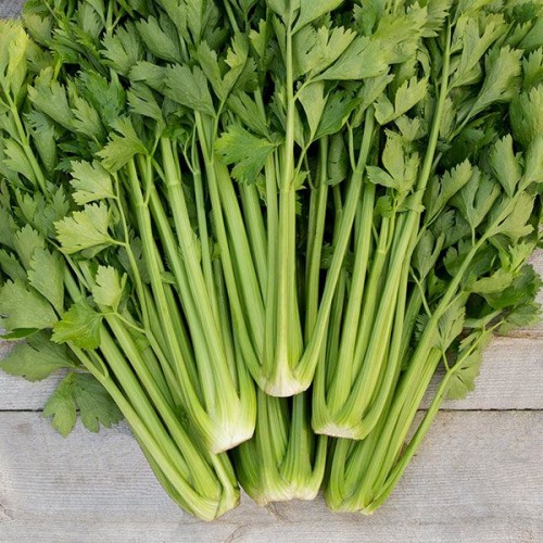 Celery seeds - Can Tay