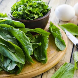 Green Vein Sorrel Seeds for Planting (Hạt Rau Chua)