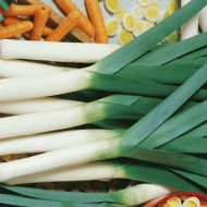 American Flag Leek Onion Seeds for Planting (Hạt Hành Boa Rô)