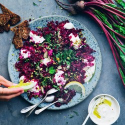 Detroit Dark Red Beet Seeds for Planting (Hạt Củ Dền)