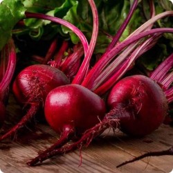 Detroit Dark Red Beet Seeds for Planting (Hạt Củ Dền)