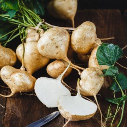 Mexican Yam Bean Jicama Seeds for Planting (Hạt Củ Sắn)