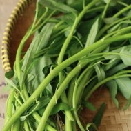 Large Leaf Water Spinach Seeds for Planting (Hạt Rau Muống Lá Lớn)