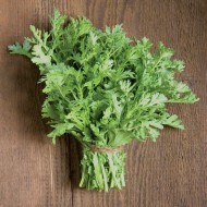 Crown Daisy Tong Ho Edible Chrysanthemum Seeds(Hạt Tần Ô / Cải Cúc)