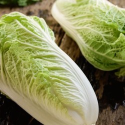 Napa Chinese Cabbage Seeds for Planting (Hạt Cải Thảo)