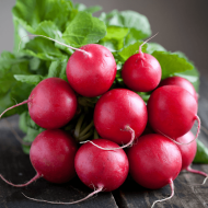 Cherry Belle Radish Seeds for Planting (Hạt Củ Cải Đỏ)