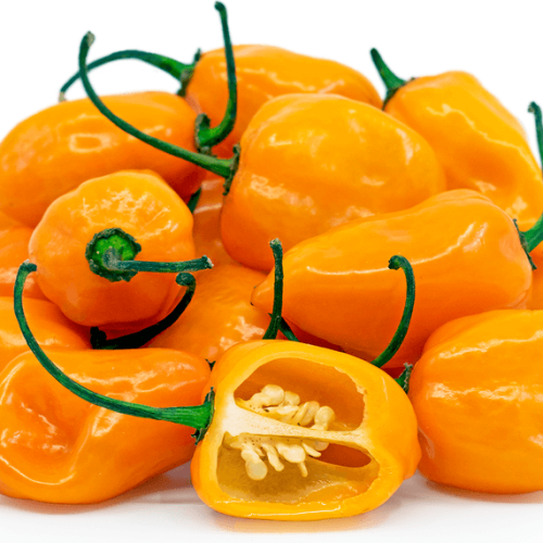 Super Hot Orange Habanero Pepper 