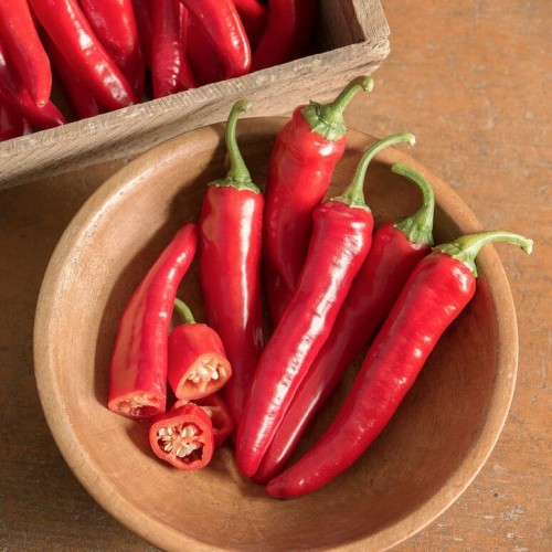 Cowhorn Chili Pepper. Ớt Sừng Trâu