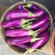 Chinese Eggplant seeds - Ca Tim Dai