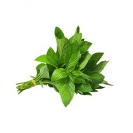 Sweet Basil Herb Seeds for Planting (Hạt Rau Thơm / Húng Tây)