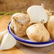 Mexican Yam Bean Jicama Seeds for Planting (Hạt Củ Sắn)
