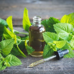Vietnamese Lemon Balm Seeds for Planting (Hạt Kinh Giới)