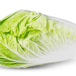 Napa Chinese Cabbage Seeds for Planting (Hạt Cải Thảo)