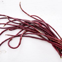 Red Long Bean Yardlong Bean Seeds for Planting (Hạt Đậu Đũa Tím)