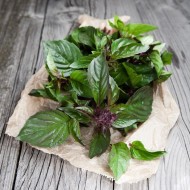 Thai Basil Siam Queen Seeds for Planting (Hạt Húng Quế)