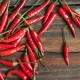 Thai Chili Pepper - Eye Bird Pepper seeds - Ớt Chỉ Thiên
