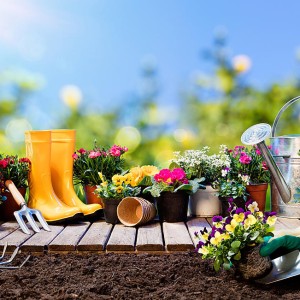 10 steps for planning and starting a garden