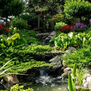 10 steps to transform our home into a lush oasis