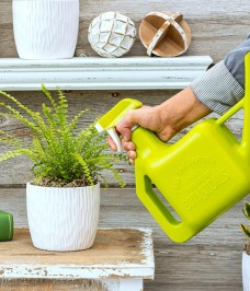 Planting Kits