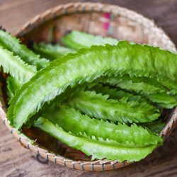 Thai Winged Bean Dragon Bean Seeds for Planting (Hạt Đậu Rồng Thái)